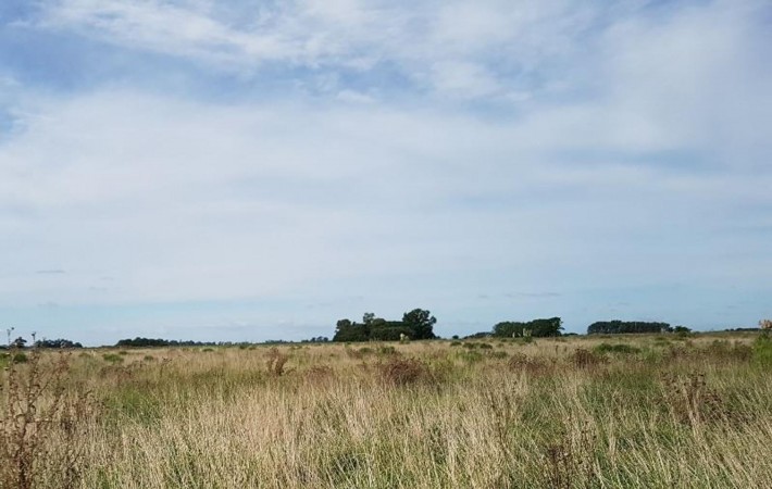 Oportunidad!! Exc Campo De 10ha en Lobos, Zona Haras, Agricola Ganadera, ideal emprendimiento!