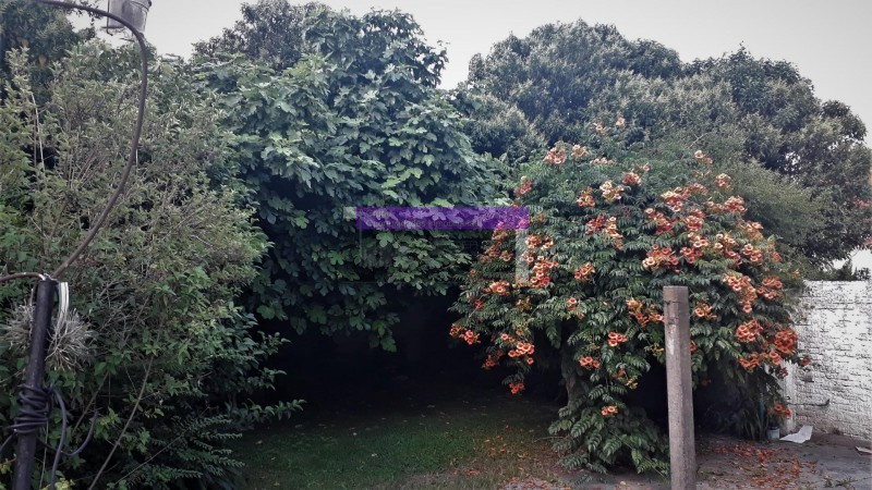 OPORTUNIDAD UNICA EN PARQUE LELOIR SOBRE COLECTORA, CASA 4 AMB. JARDIN, COCHERAS, S/LOTE 11X28, APTO PROFESIONAL/COMERCIAL