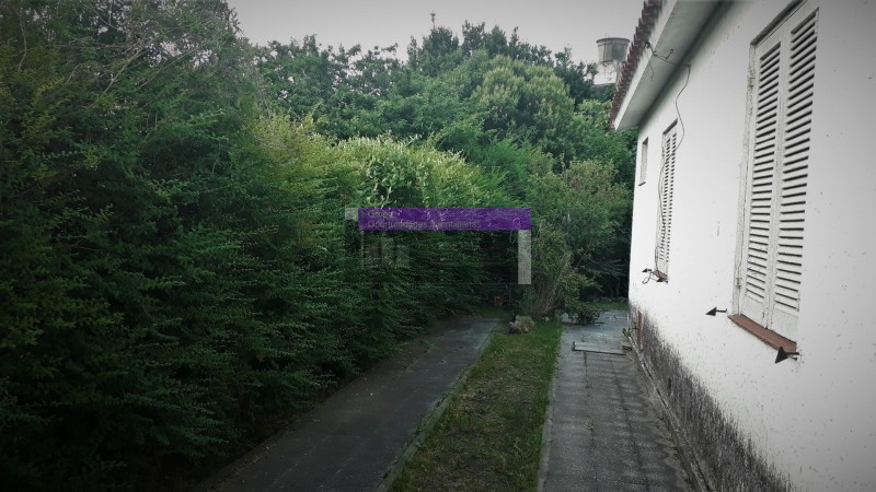 OPORTUNIDAD UNICA EN PARQUE LELOIR SOBRE COLECTORA, CASA 4 AMB. JARDIN, COCHERAS, S/LOTE 11X28, APTO PROFESIONAL/COMERCIAL